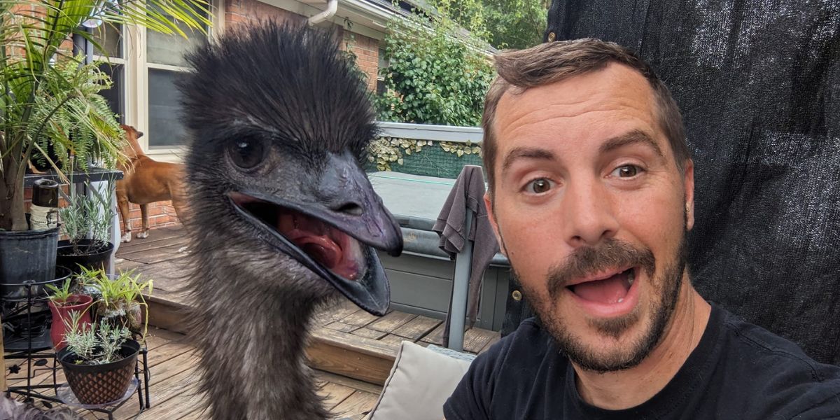 playground nicholas olenik tuvo una batalla legal para tener a un ave emu como mascota 2023